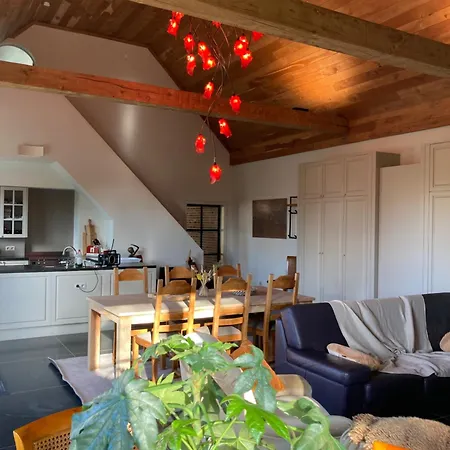 Feriehus Hoeve Sterrewijk