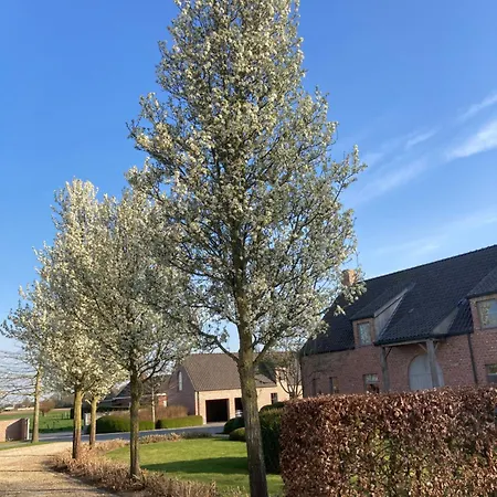 Hoeve Sterrewijk *